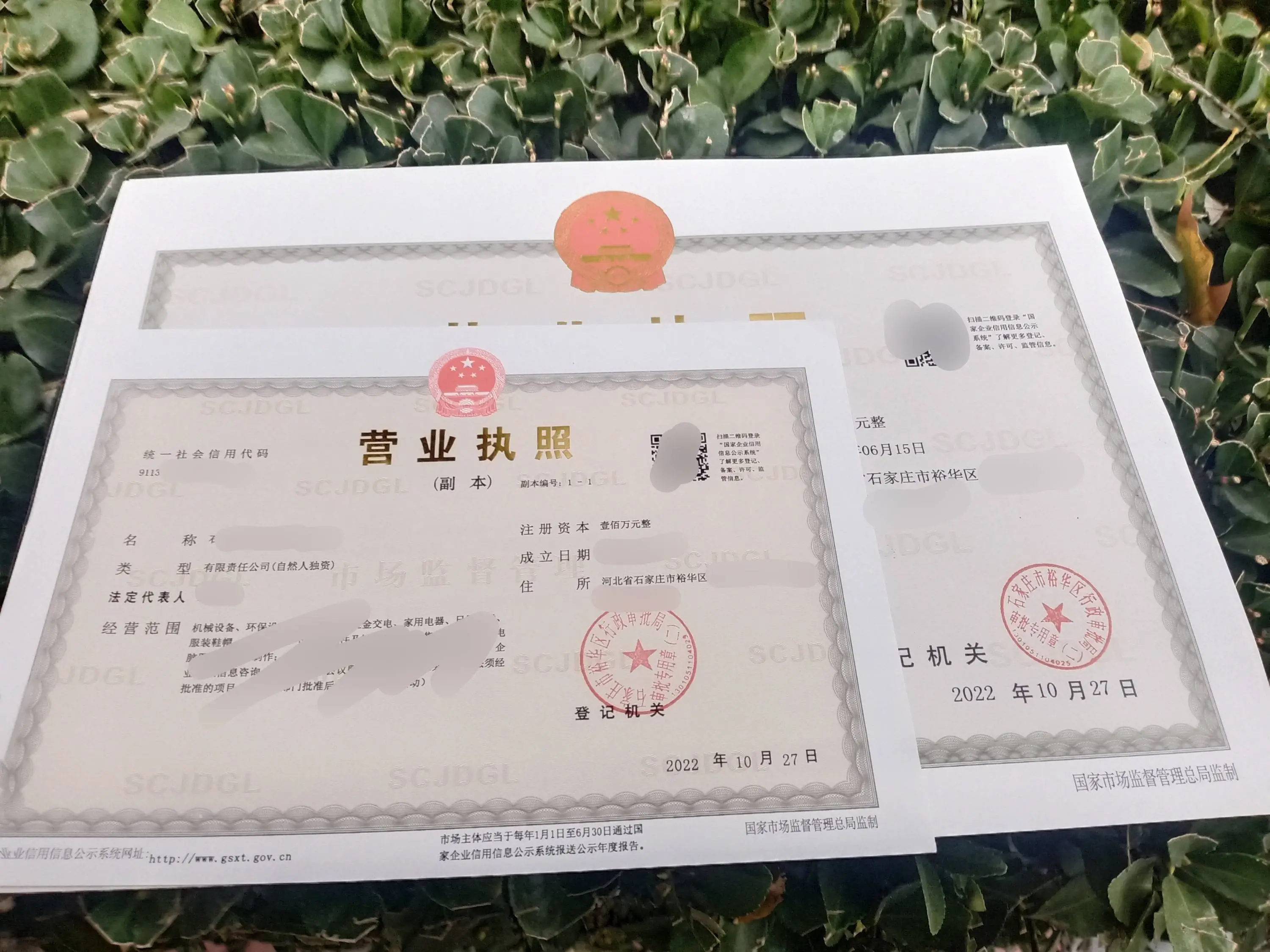 記賬報稅代理公司服務(wù)