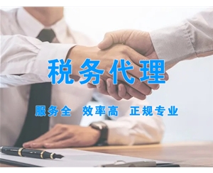 稅務(wù)代理